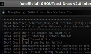 Interfejs do serwera SHOUTCast 2